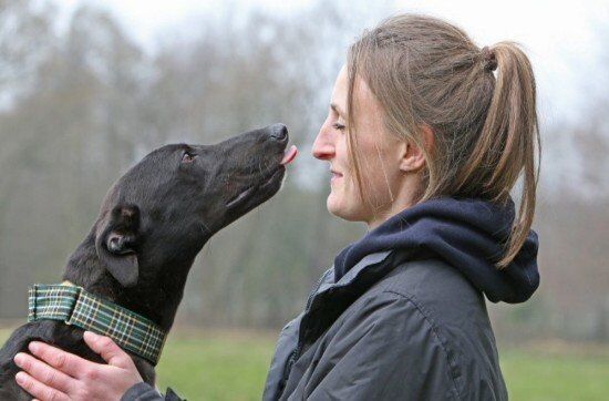 Homefinders Greyhounds Yarmouth stadium