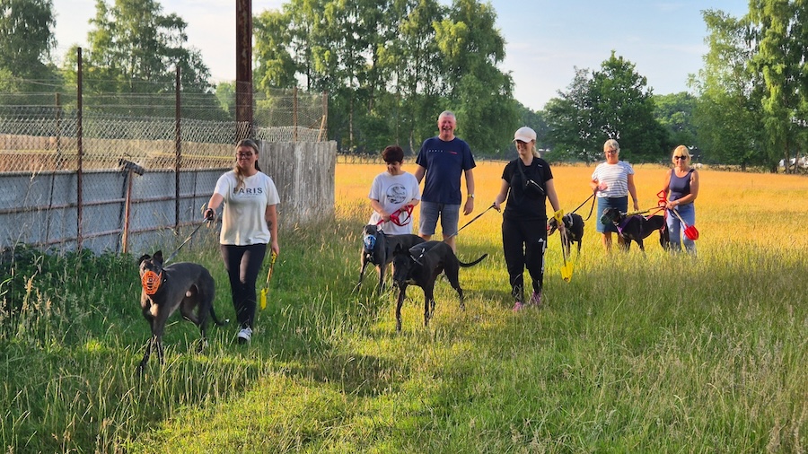 Yarmouth Greyhound Homefinders volunteers