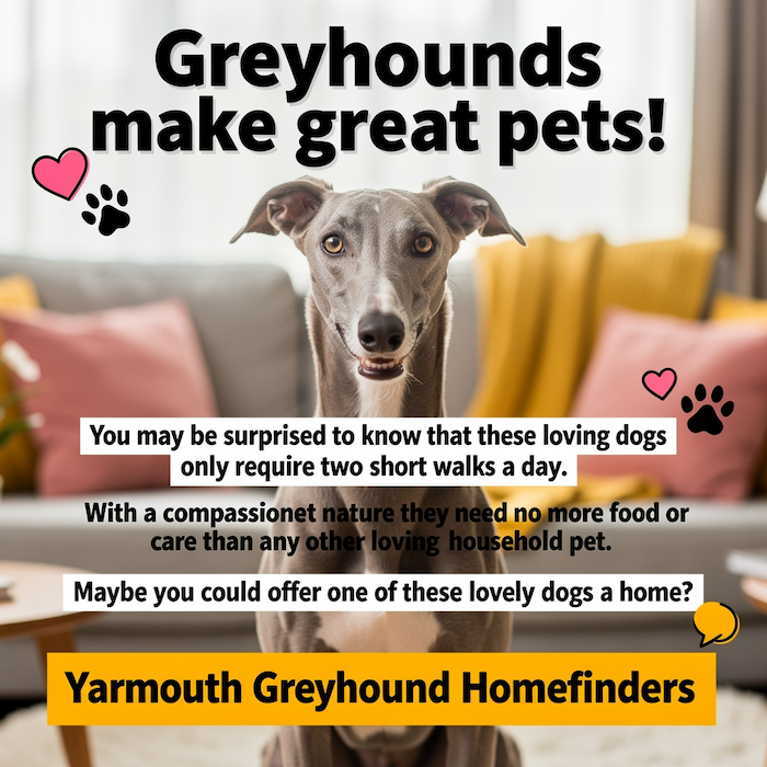 Yarmouth Greyhound Homefinders - Greyhound sMake Great Pets