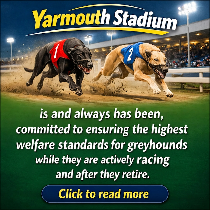 Greyhound Care - for the love of Greyhounds