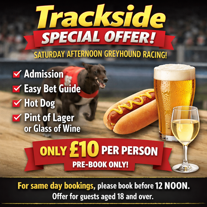 Greyhound Saturday afternoon offer