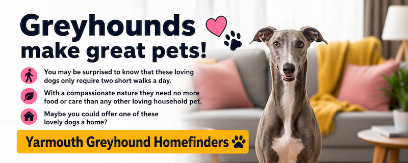Yarmouth Greyhound Homefinders