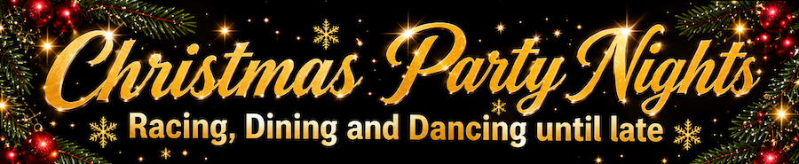 christmas parties great yarmouth stadium