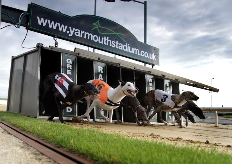 Greyhound Racing at Yarmouth Stadium